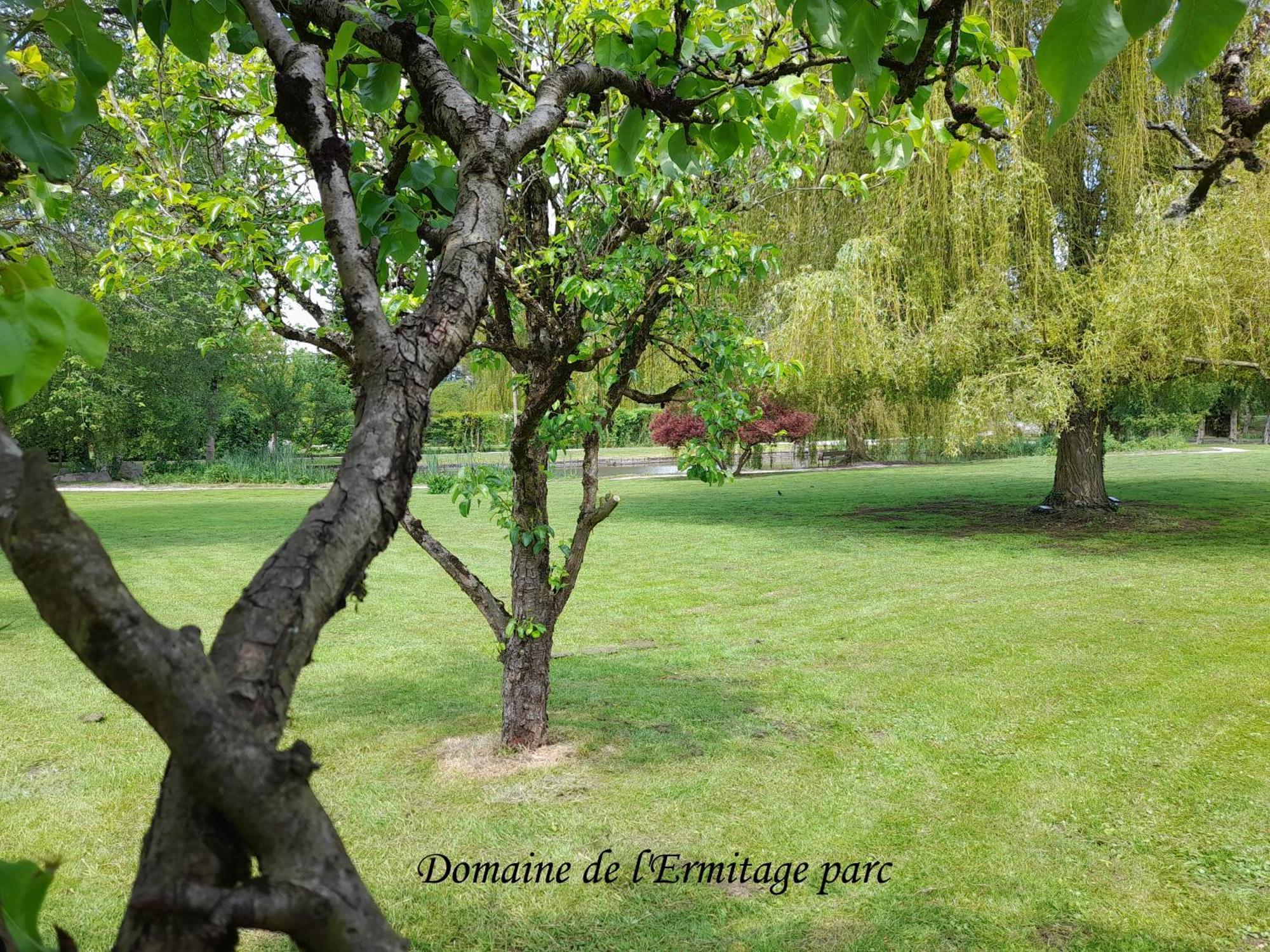 ルー Domaine De L'Ermitageヴィラ エクステリア 写真